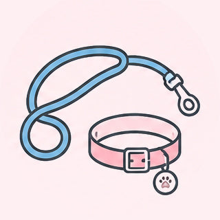 Leashes & Safety Gear