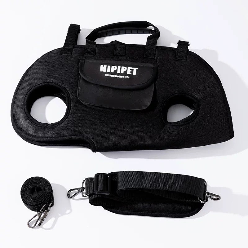 Pet Backpack Carrier