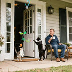 Fly Chase Cat Toy
