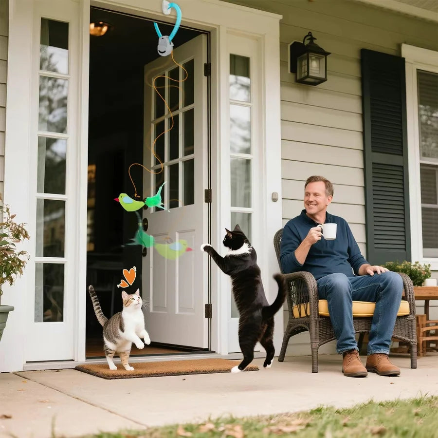 Fly Chase Cat Toy