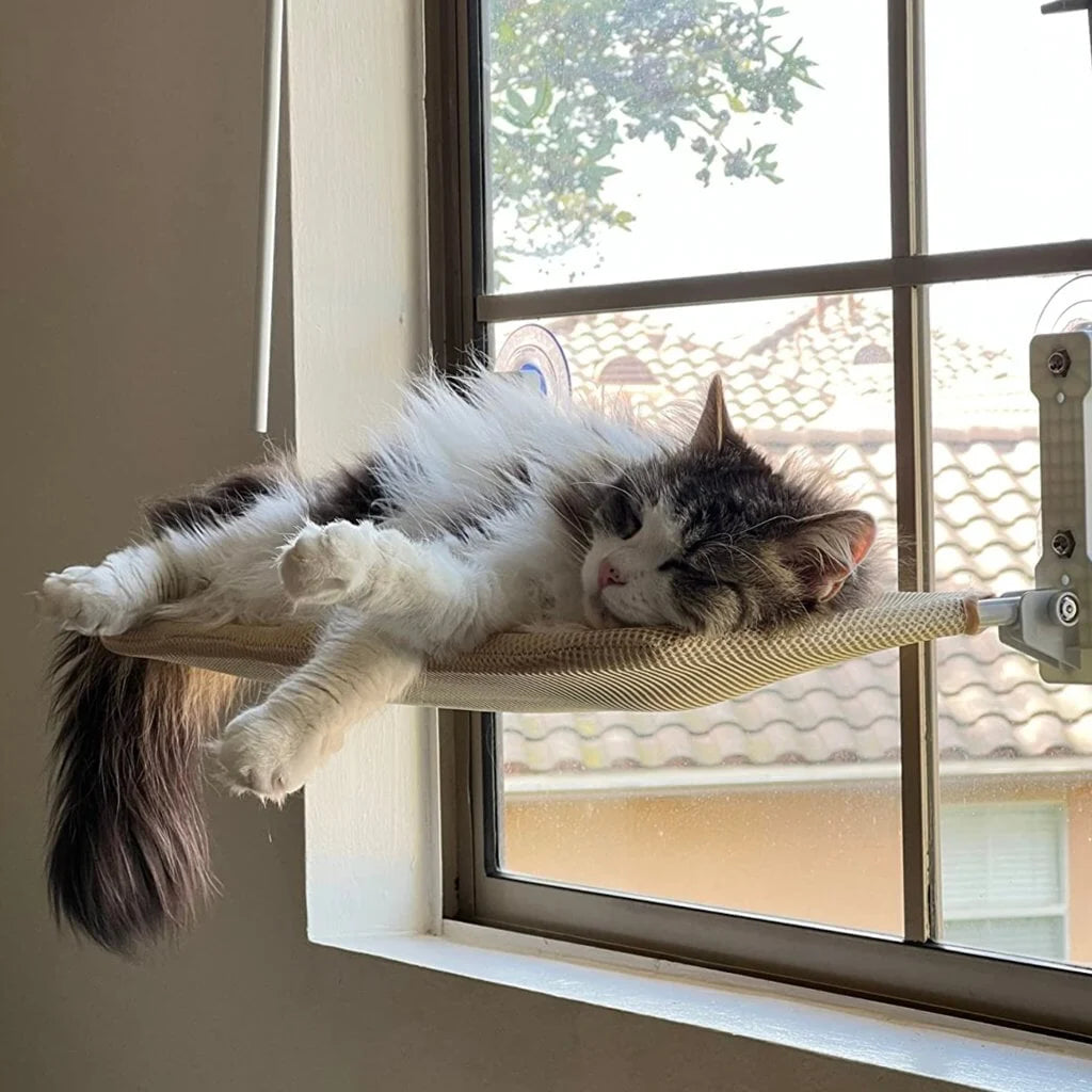 Cat Window Bed