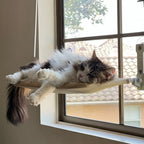 Cat Window Bed