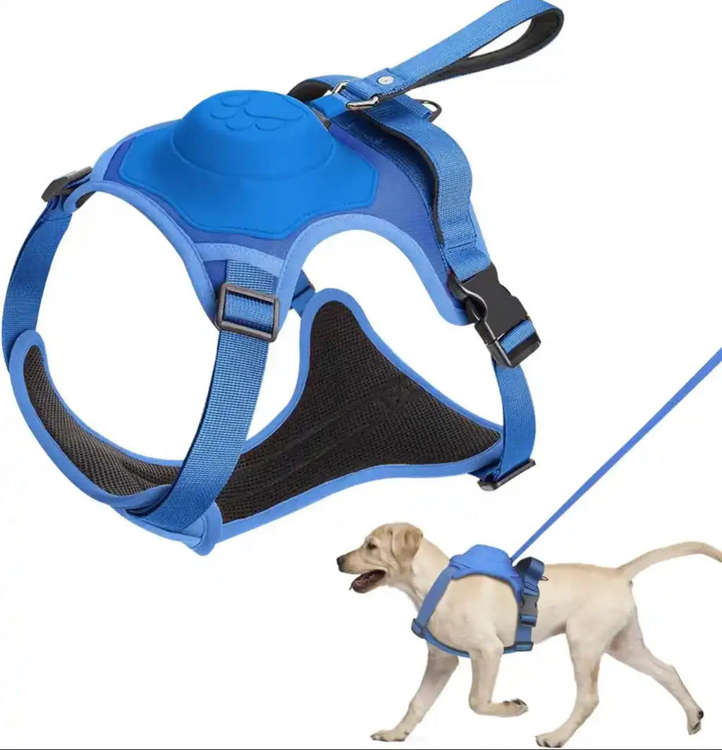 Dog Harness with Leash