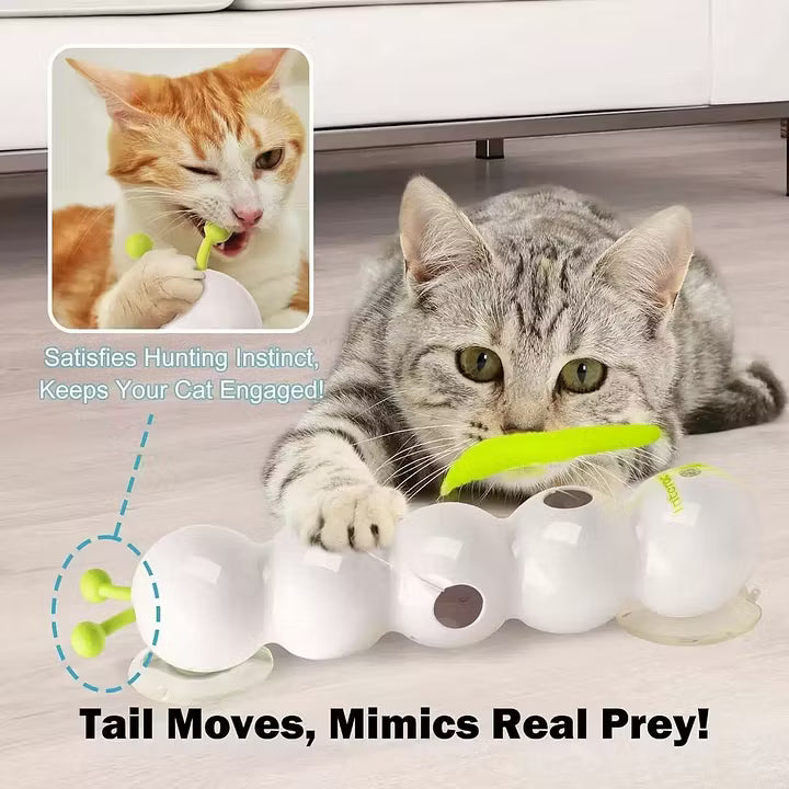 Caterpillar Smart Cat Toy