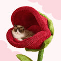 Cat Rose Bed