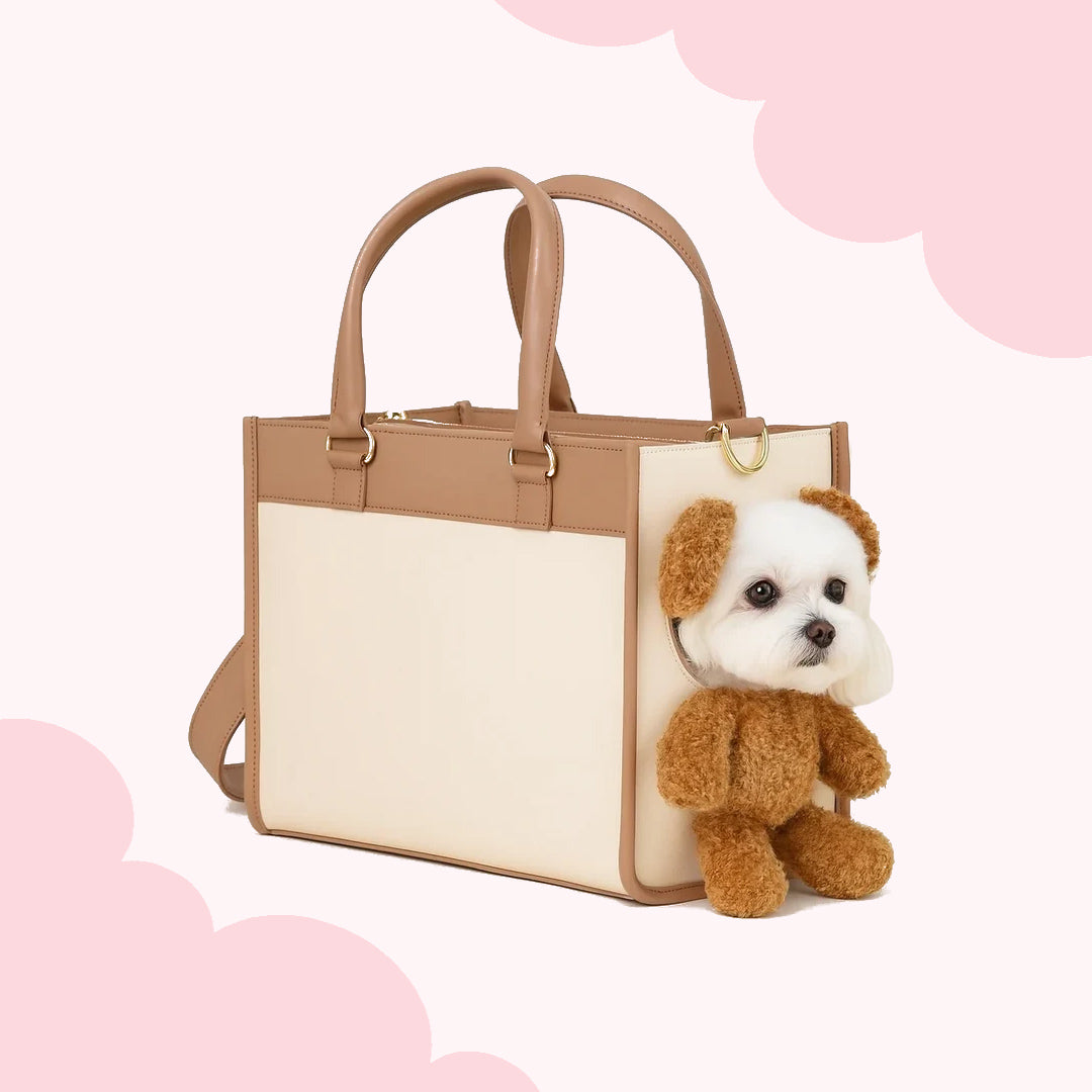 Teddy Bear Carrier Bag