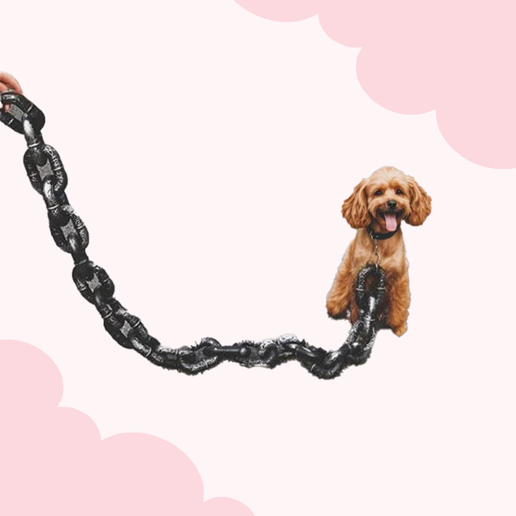 Funny Big Paws Chain