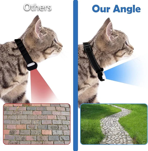 CatCamPro™