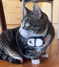 CatCamPro™