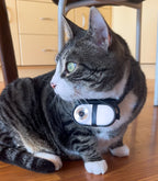 CatCamPro™