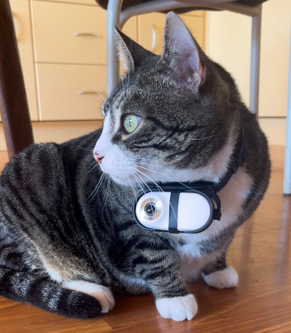 CatCamPro™