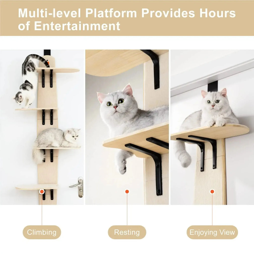 Wall Mounted Cat Shelves