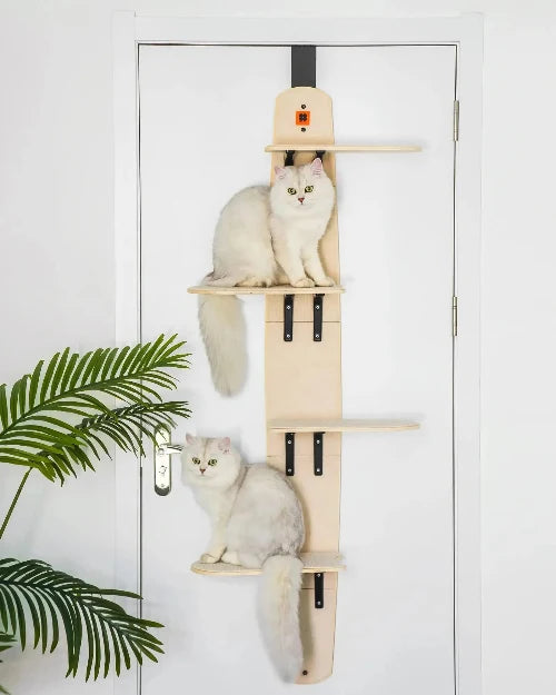 Wall Mounted Cat Shelves