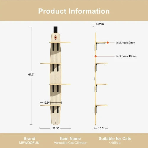 Wall Mounted Cat Shelves