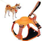 Dog Harness with Leash