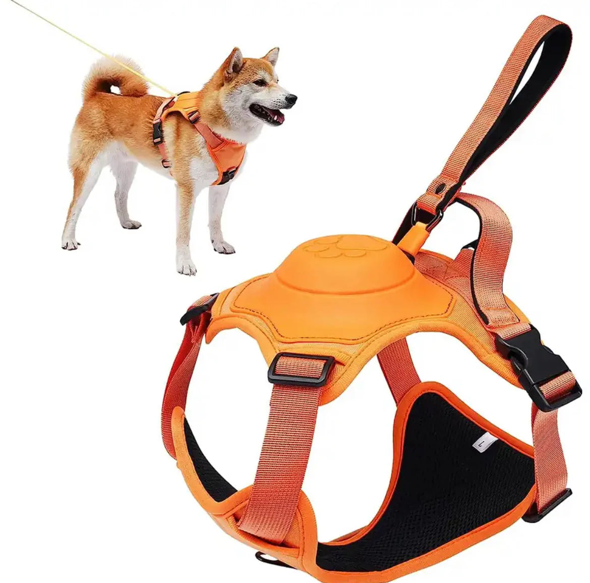 Dog Harness with Leash