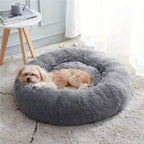 Fluffy Haven Cat Bed