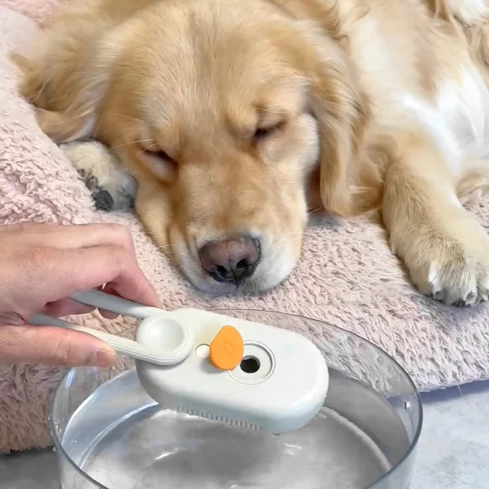 Pet Spray and Groom Brush