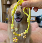 Pet Insect Repellent Collar