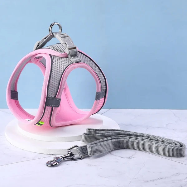 Cat Harness with Leash Set