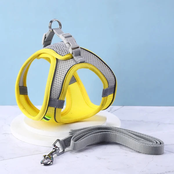 Cat Harness with Leash Set