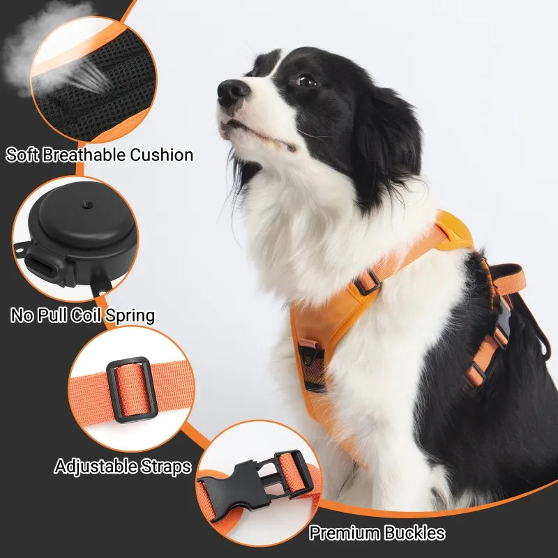 Dog Harness with Leash