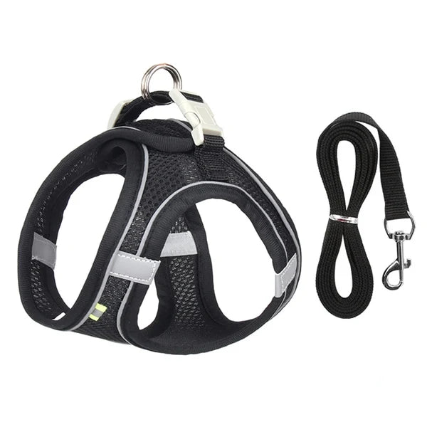 Cat Harness with Leash Set