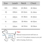 Cat Harness with Leash Set