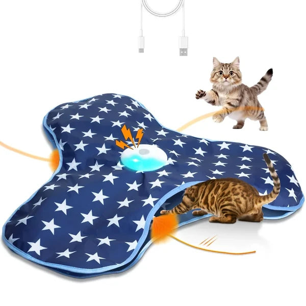 Smart Cat Teaser Toy