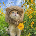 Cat Lion Costume