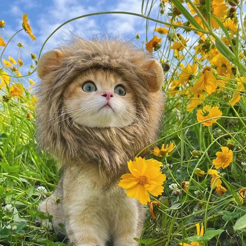 Cat Lion Costume