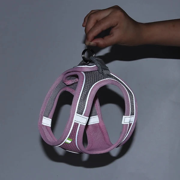 Cat Harness with Leash Set