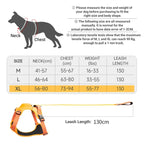 Dog Harness with Leash