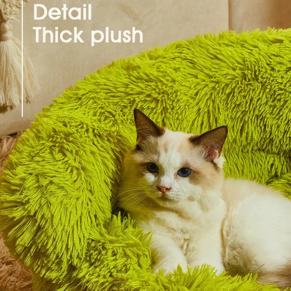 Cute Monster Pet Bed