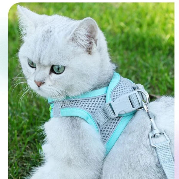 Cat Harness with Leash Set