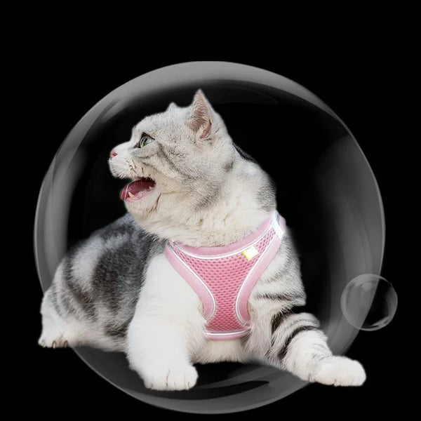 Cat Harness with Leash Set