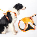 Dog Harness with Leash