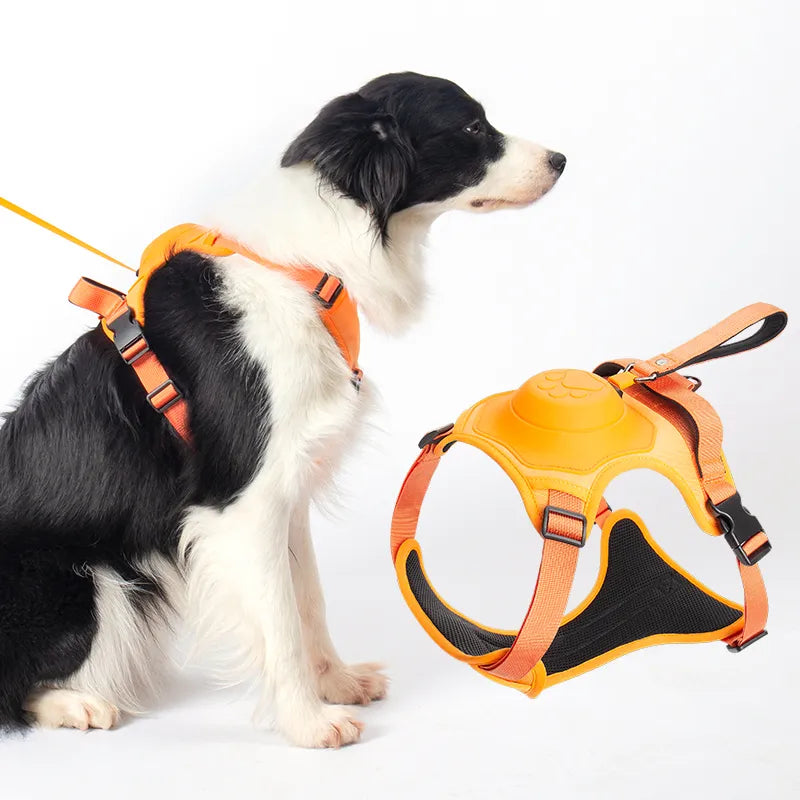 Dog Harness with Leash