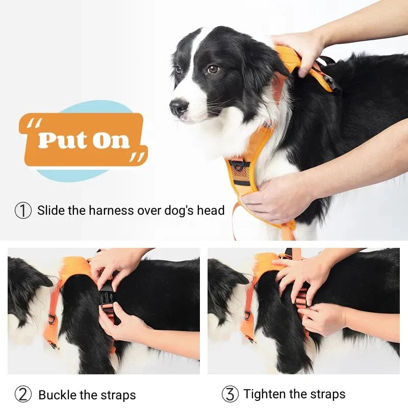 Dog Harness with Leash