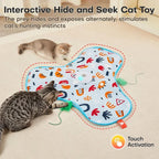 Smart Cat Teaser Toy