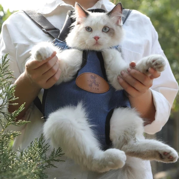 Bear Hug Buddy Carrier