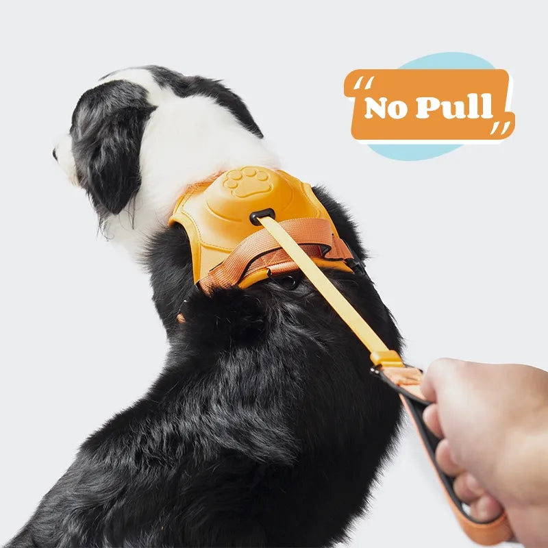 Dog Harness with Leash