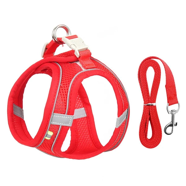Cat Harness with Leash Set