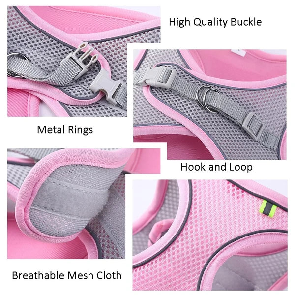 Cat Harness with Leash Set