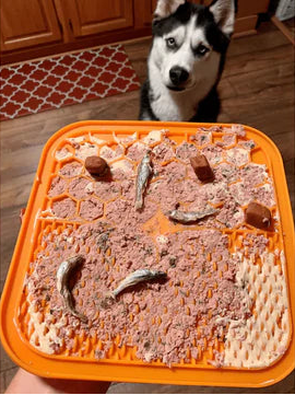 Dog Lick Mat