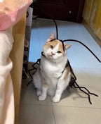 Funny Catroach Costume