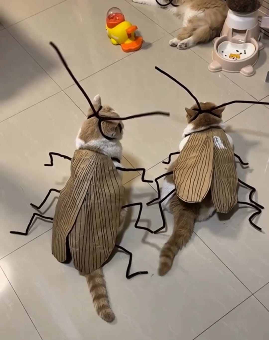 Funny Catroach Costume