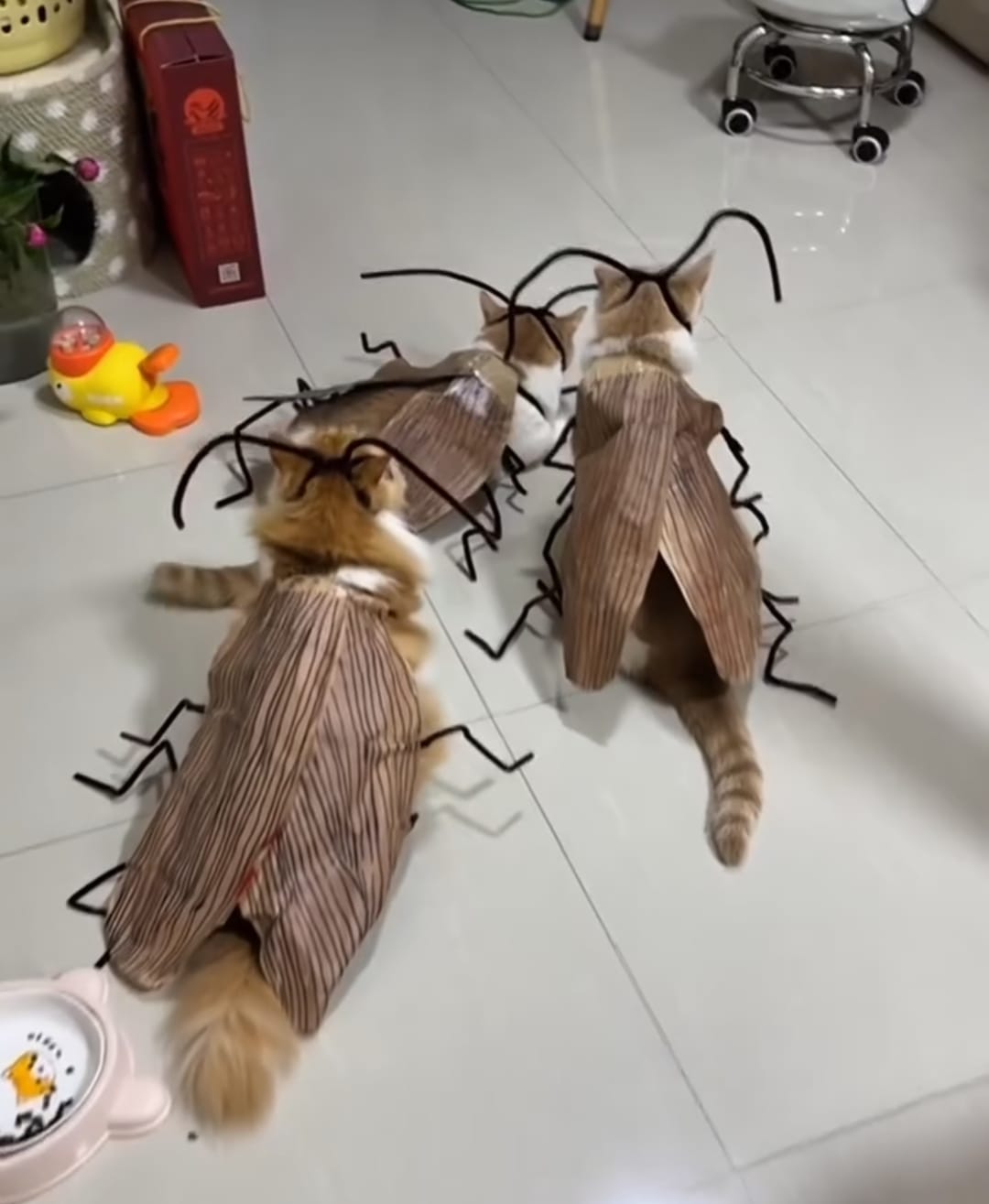 Funny Catroach Costume