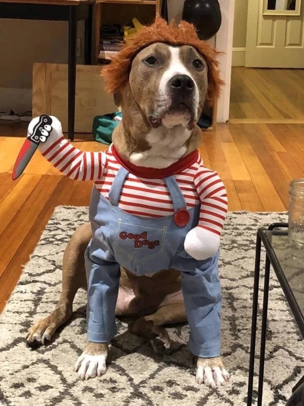 Deadly Doll Dog Costume®