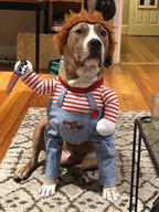 Deadly Doll Dog Costume®